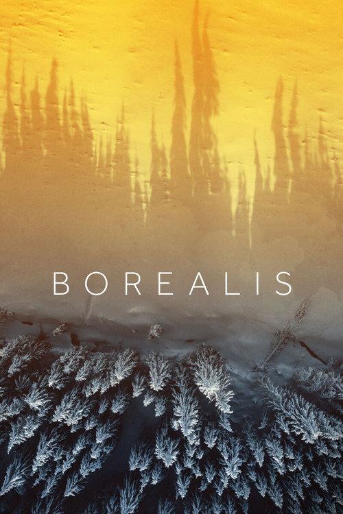 Borealis 2020 official movie poster