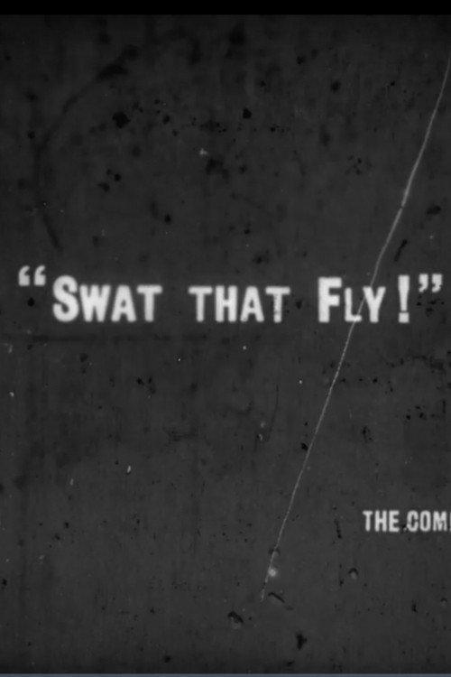 Swat That Fly! 1915 official movie poster