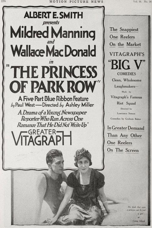 The Princess of Park Row 1917 official movie poster