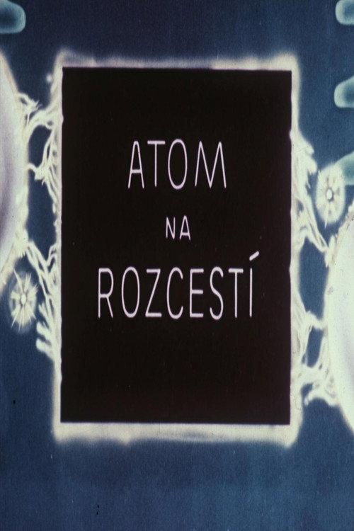 Atom na rozcestí 1947 official movie poster