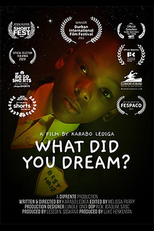 What Did You Dream? 2020 official movie poster