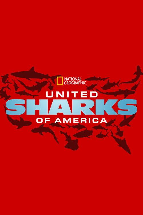 United Sharks of America 2015 official movie poster