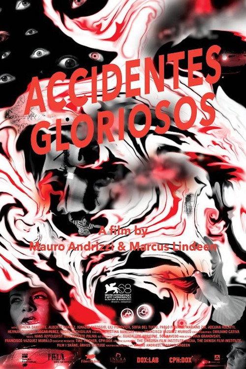 Glorious Accidents 2011 official movie poster