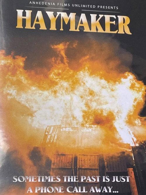 Haymaker 2022 official movie poster