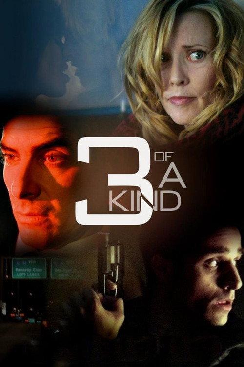 3 of a Kind 2012 official movie poster