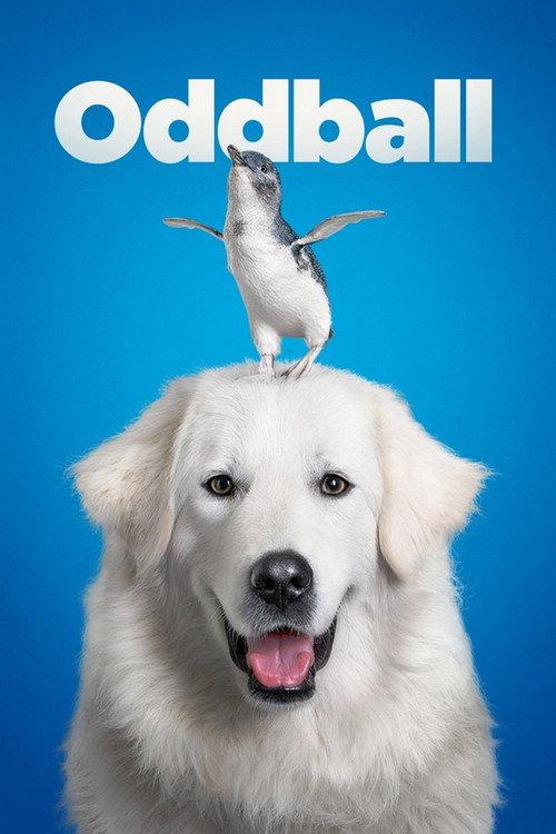 Oddball 2015 official movie poster