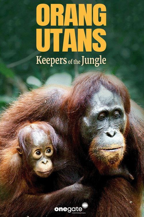 Orang Utans - Keepers of the Jungle 2025 official movie poster