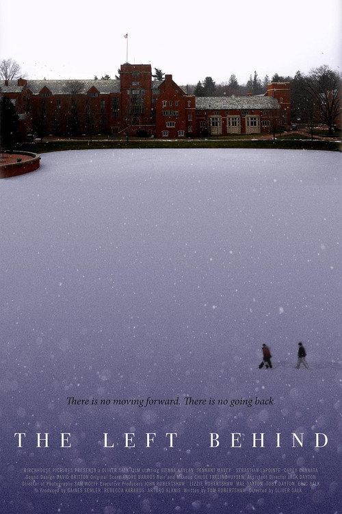 The Left Behind 2016 official movie poster