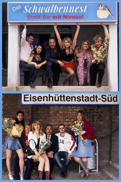 Das Schwalbennest 2004 official movie poster