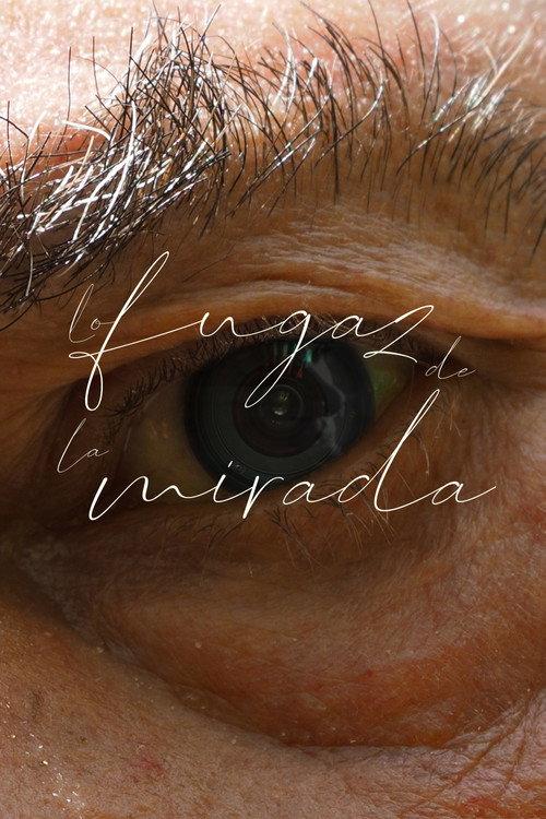 Lo fugaz de la mirada 2024 official movie poster