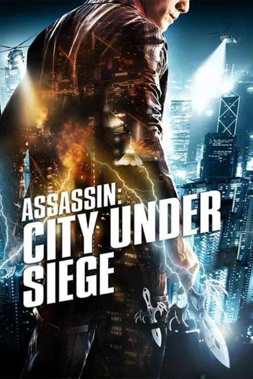 City Under Siege 2010 official movie poster