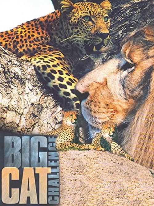 Big Cat Challenge 2003 official movie poster