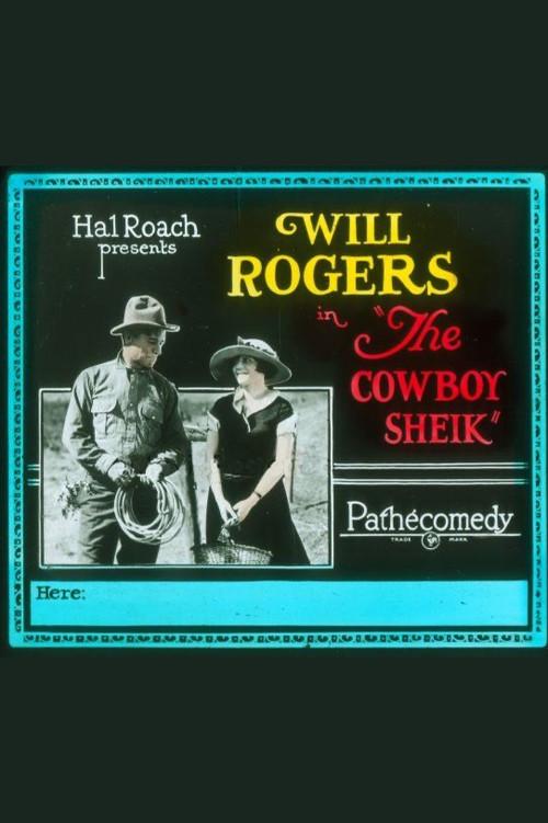 The Cowboy Sheik 1924 official movie poster