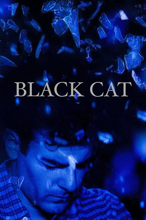 Black Cat 2017 official movie poster
