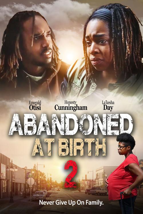 Abandoned at Birth 2 2024 official movie poster
