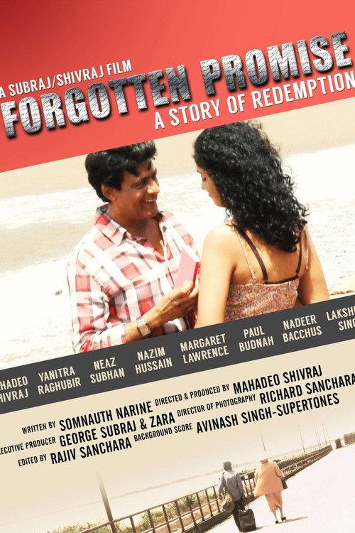 Forgotten Promise 2014 official movie poster