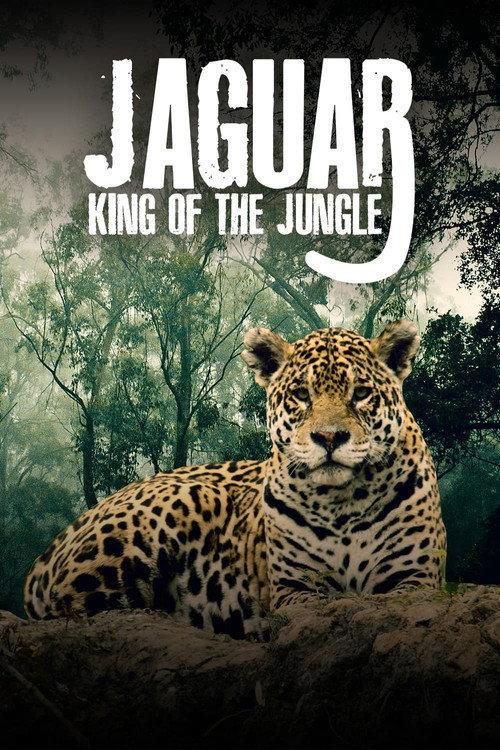 Jaguar: King of the Jungle 2020 official movie poster