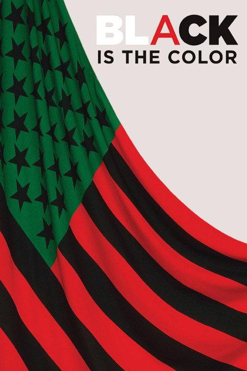 Black Is the Color: African-American Artists and Segregation 2016 official movie poster