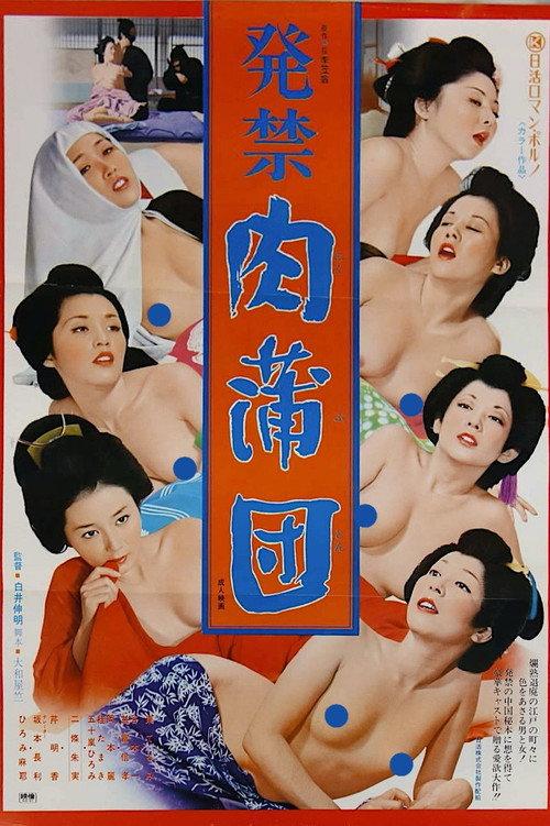 Banned Book: Flesh Futon 1975 official movie poster