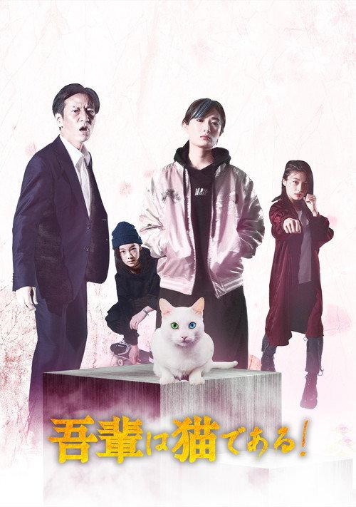 I'm a cat! 2021 official movie poster