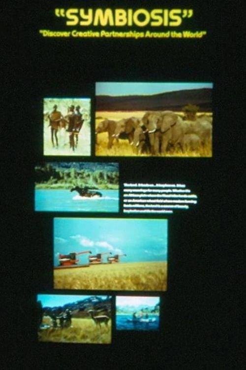 Symbiosis 1982 official movie poster