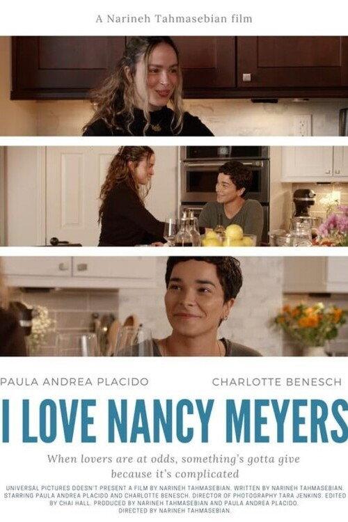 I Love Nancy Meyers 2023 official movie poster