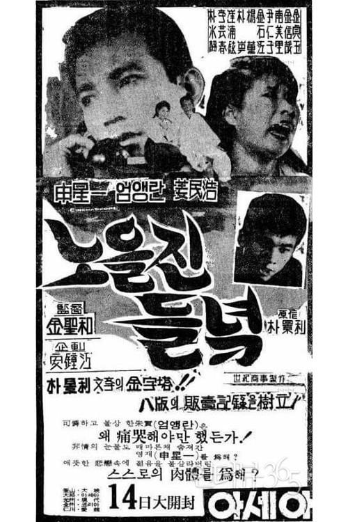The Field Glow with the Setting Sun 1965 official movie poster