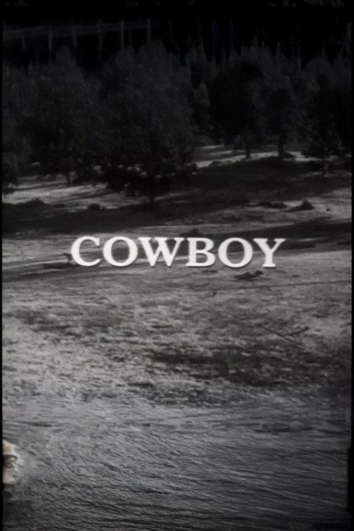 Cowboy 1966 official movie poster