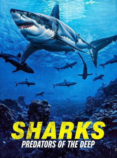 Sharks: Predators of the Deep 2024 official movie poster