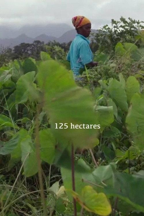 125 hectares 2019 official movie poster