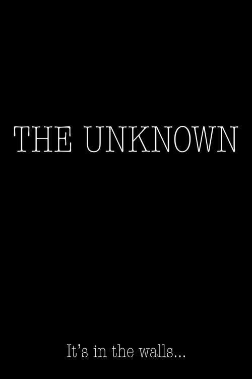 The Unknown 2024 official movie poster