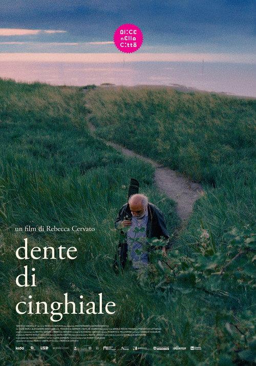 Dente di cinghiale 2026 official movie poster