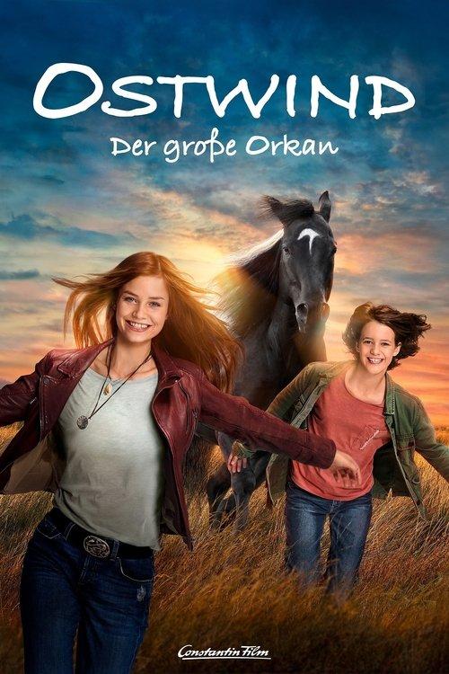 Windstorm: The Great Hurricane 2021 official movie poster