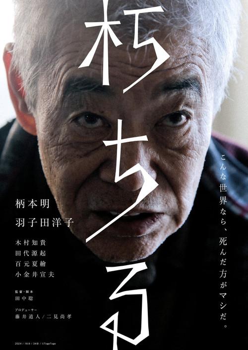 Rotting 2024 official movie poster