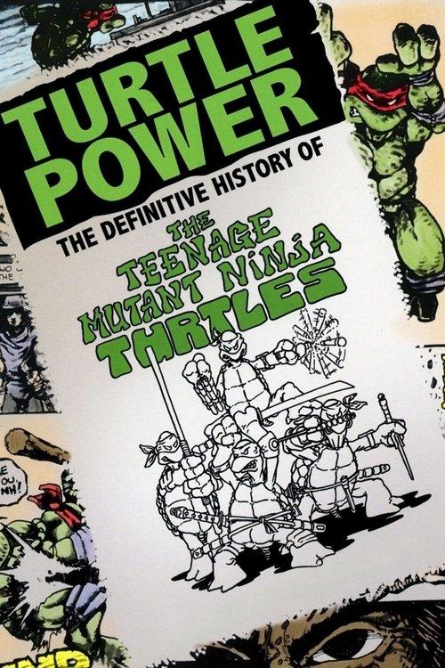 Turtle Power: The Definitive History of the Teenage Mutant Ninja Turtles 2014 official movie poster