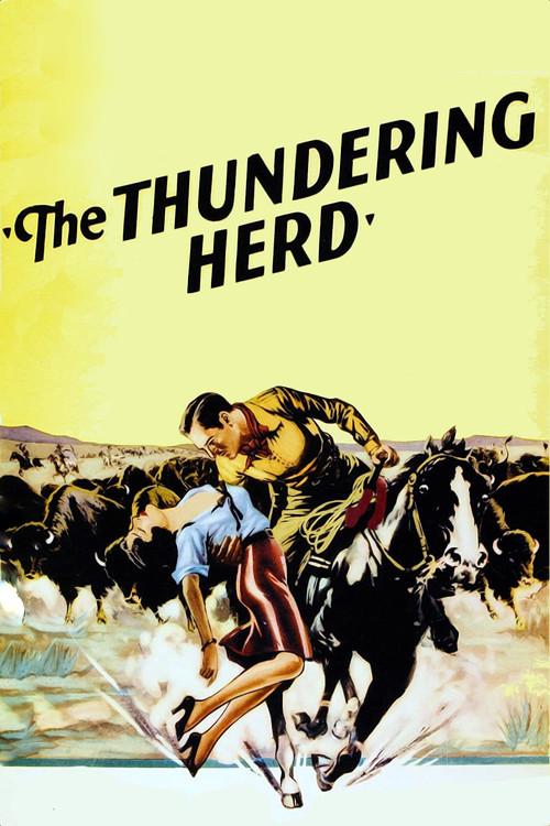 Buffalo Stampede 1933 official movie poster