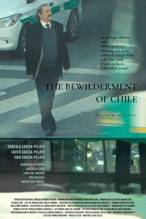 The Bewilderment of Chile 2025 official movie poster