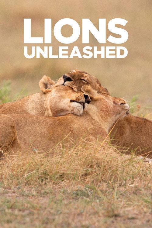 Lions Unleashed 2017 official movie poster