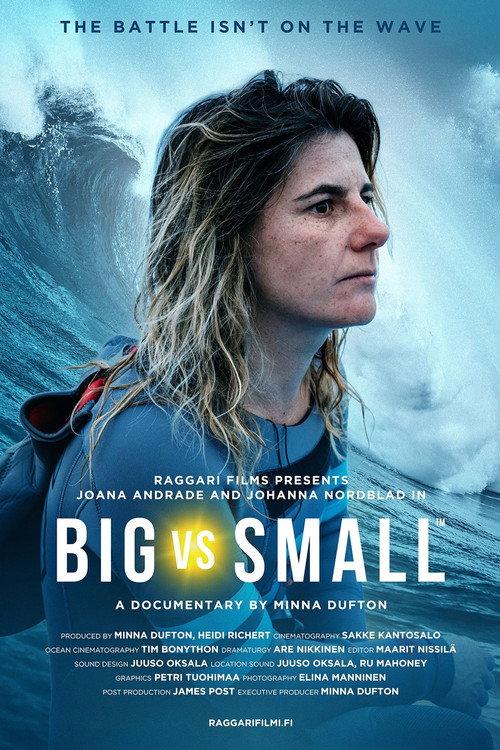 Big vs. Small 2020 official movie poster
