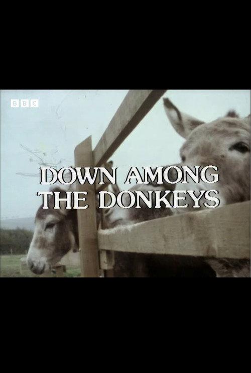 Down Among the Donkeys 1978 official movie poster