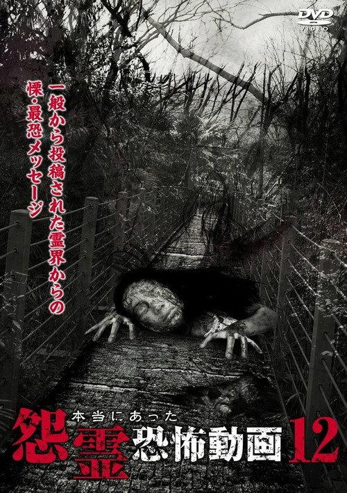Real Vengeful Ghost Horror Video 12 2015 official movie poster