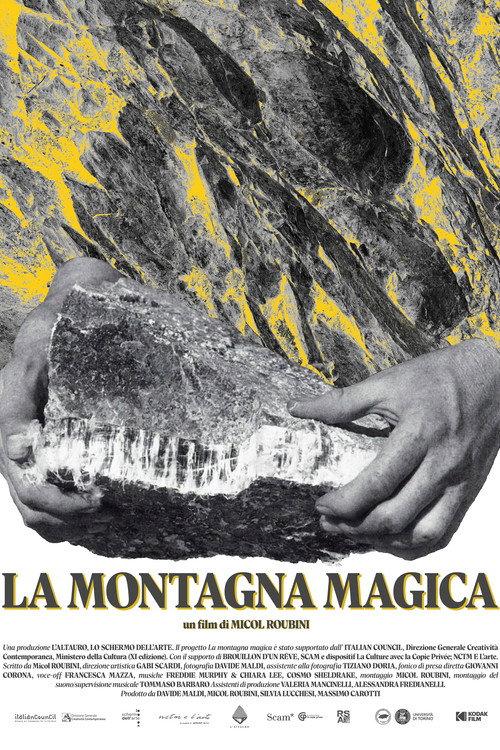 La montagna magica 2025 official movie poster
