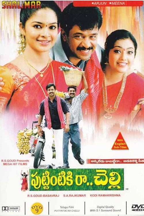 Puttintiki Raa Chelli 2004 official movie poster
