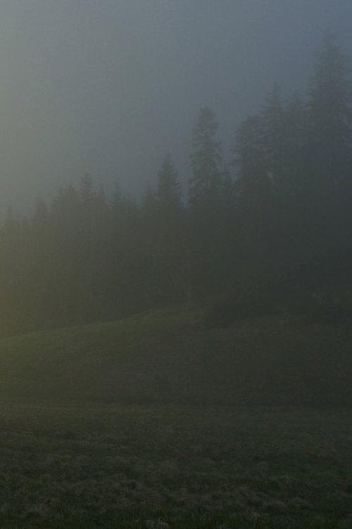 In A Beautiful And Quiet Location 2015 official movie poster