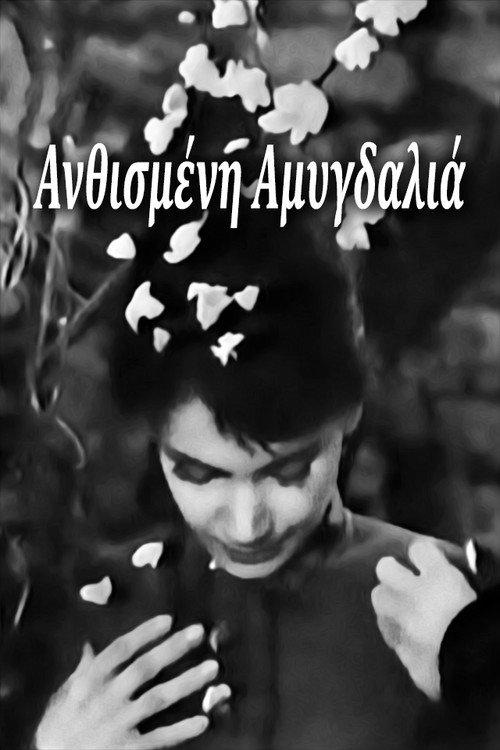 Blossoming Almond Tree 1959 official movie poster