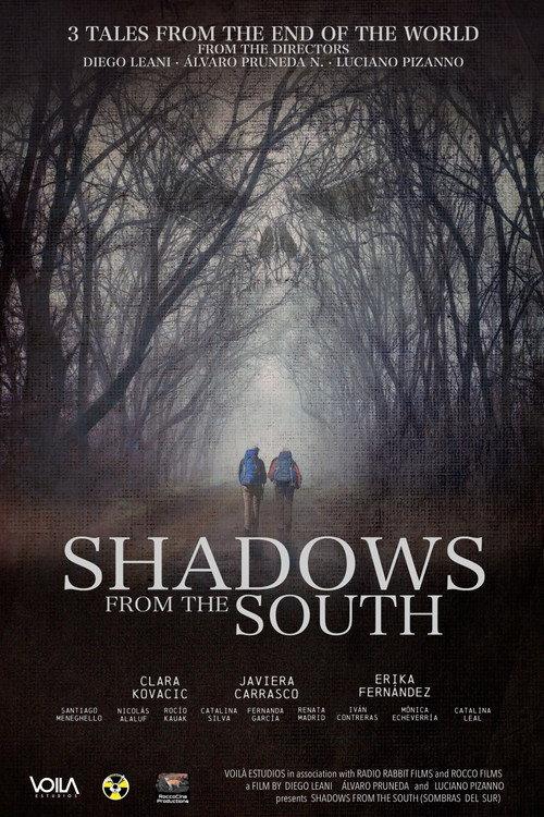 Shadows From The South 2026 official movie poster