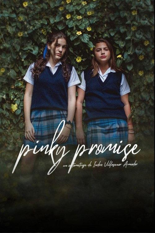 Pinky Promise 2020 official movie poster