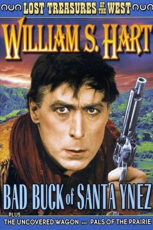 Bad Buck of Santa Ynez 1915 official movie poster