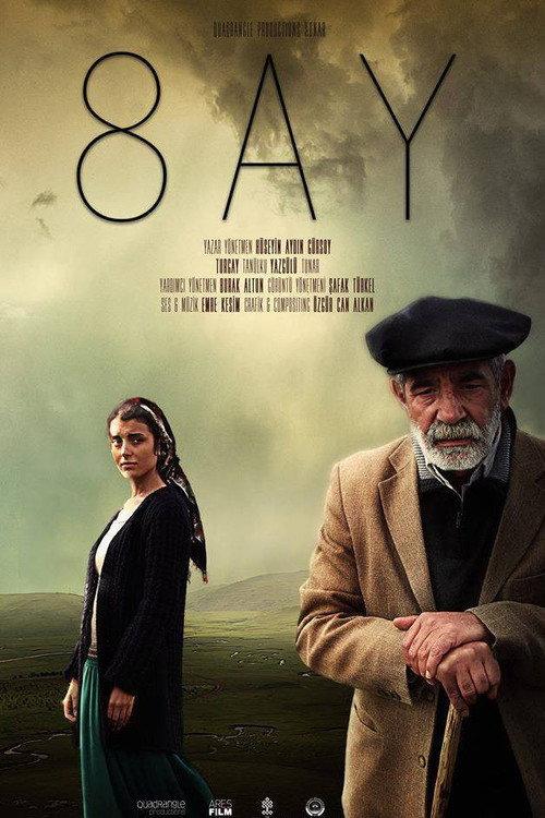 8 Months 2013 official movie poster
