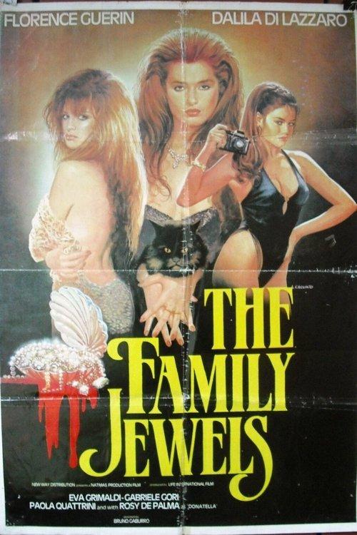 The Family Jewels 1991 official movie poster